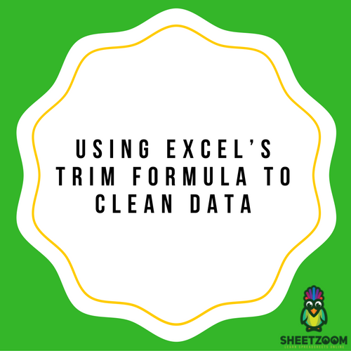 Using Excel’s TRIM Formula To Clean Data
